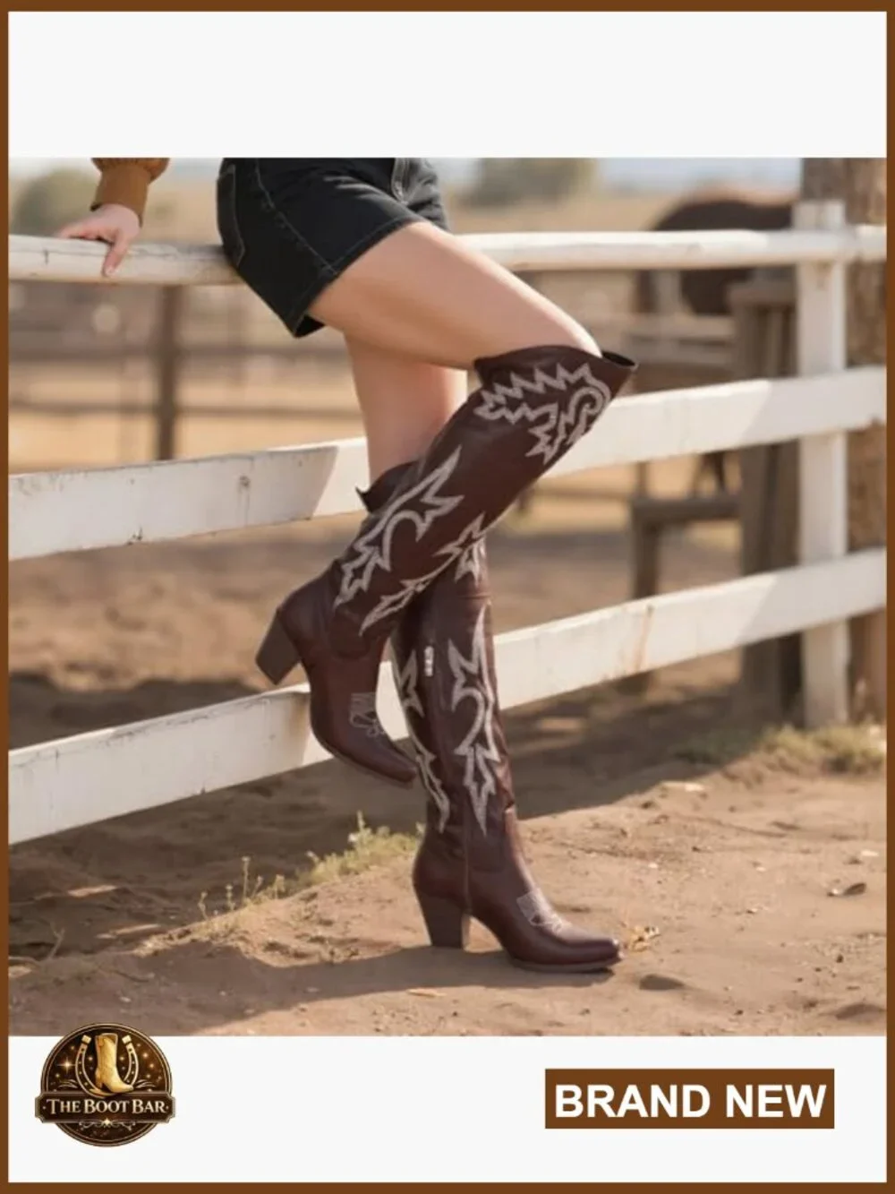 Pointed Toe Over The Knee Boots Chunky Heel Embroidered Western Cowgirl